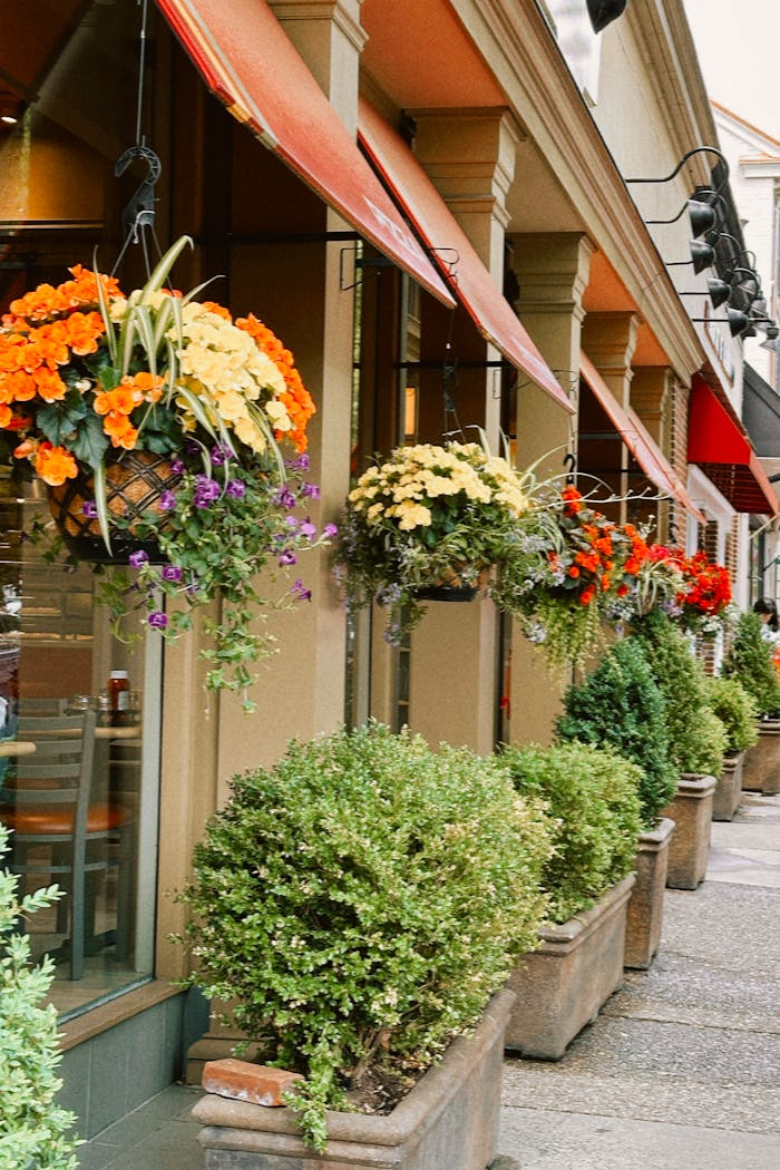 Cozy street cafe adorned with vibrant hanging plants and flower baskets under red awnings.